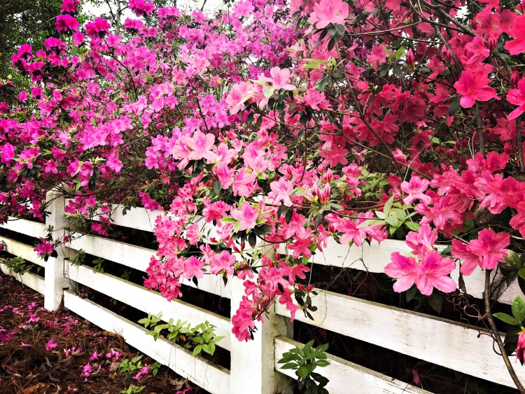 hipstamaticphoto-543172147.175139